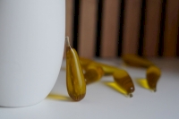 HoneyShot : le miel en dosette, 100% naturel !