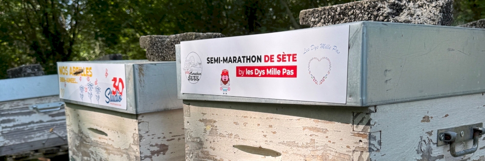 Vous êtes une entreprise dans le Vaucluse, pourquoi opter pour le parrainage de ruches ?