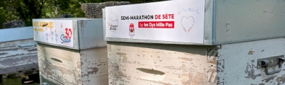ruches marathon