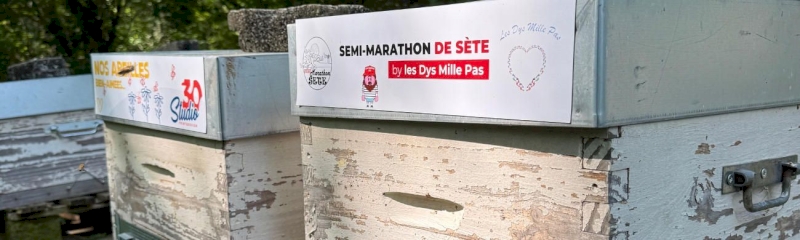 ruches marathon