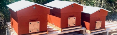 Ruche chalet