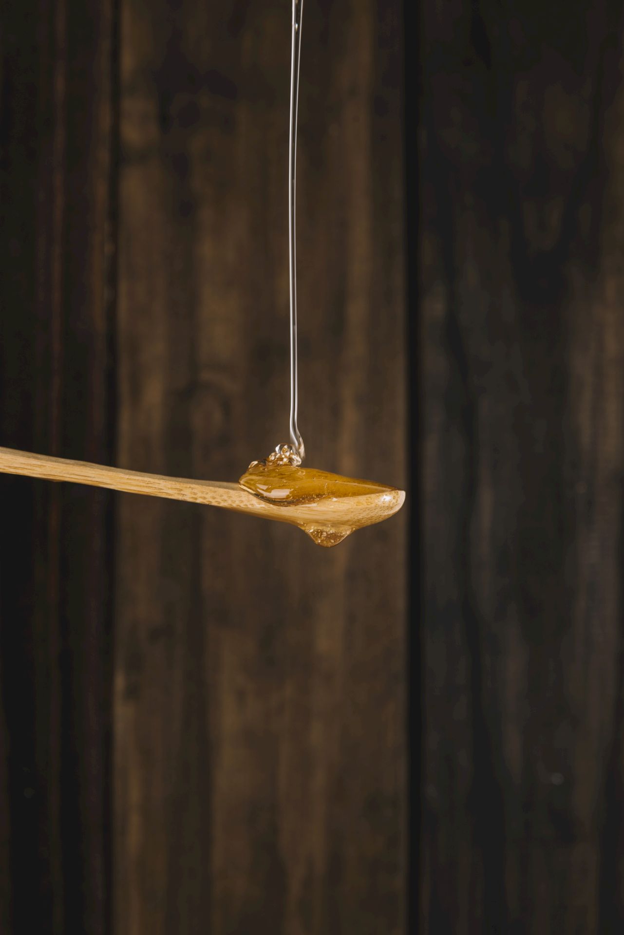 miel extrait à froid acacia